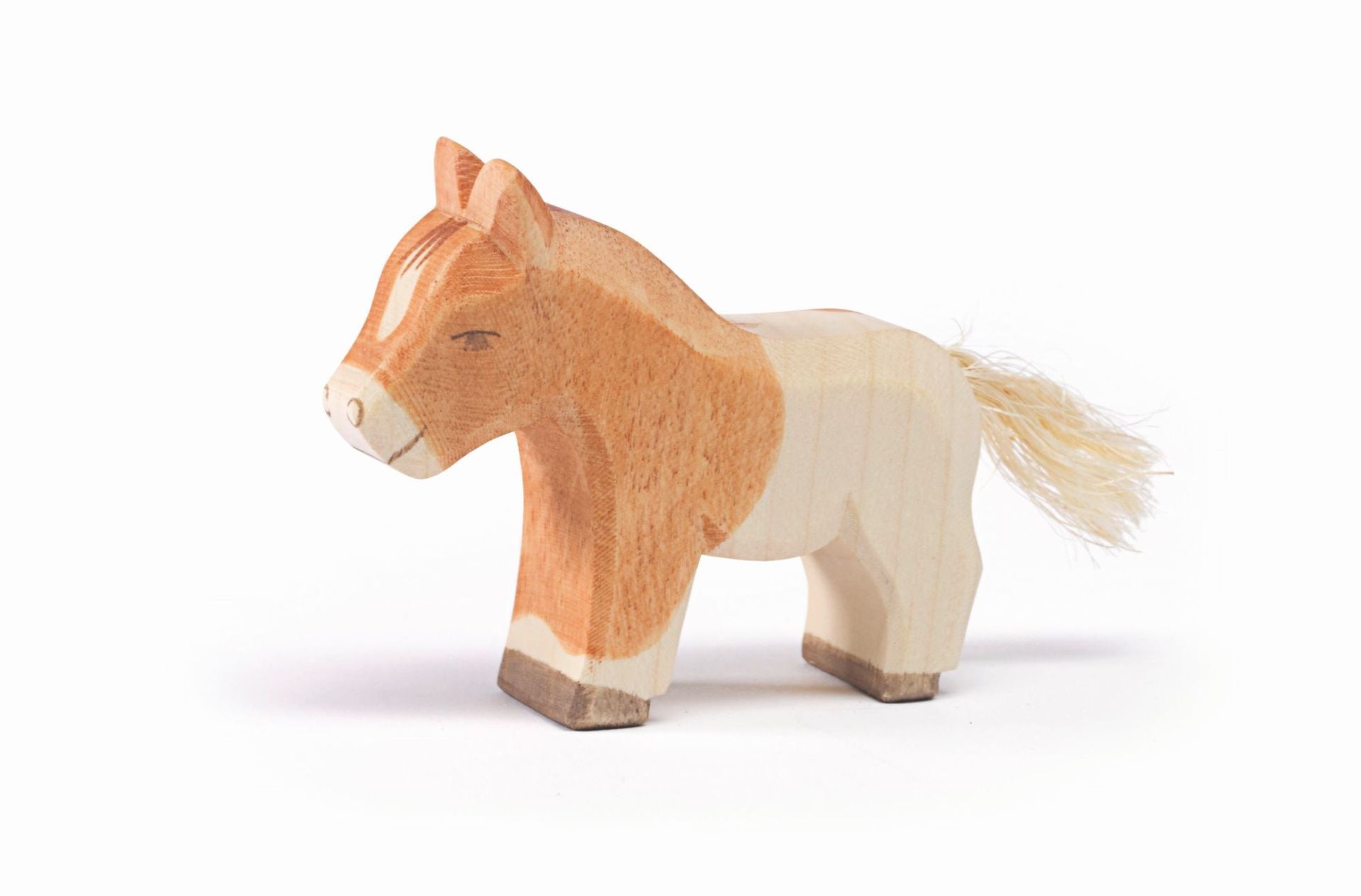 Ostheimer Shetland Pony Colt - Image 2