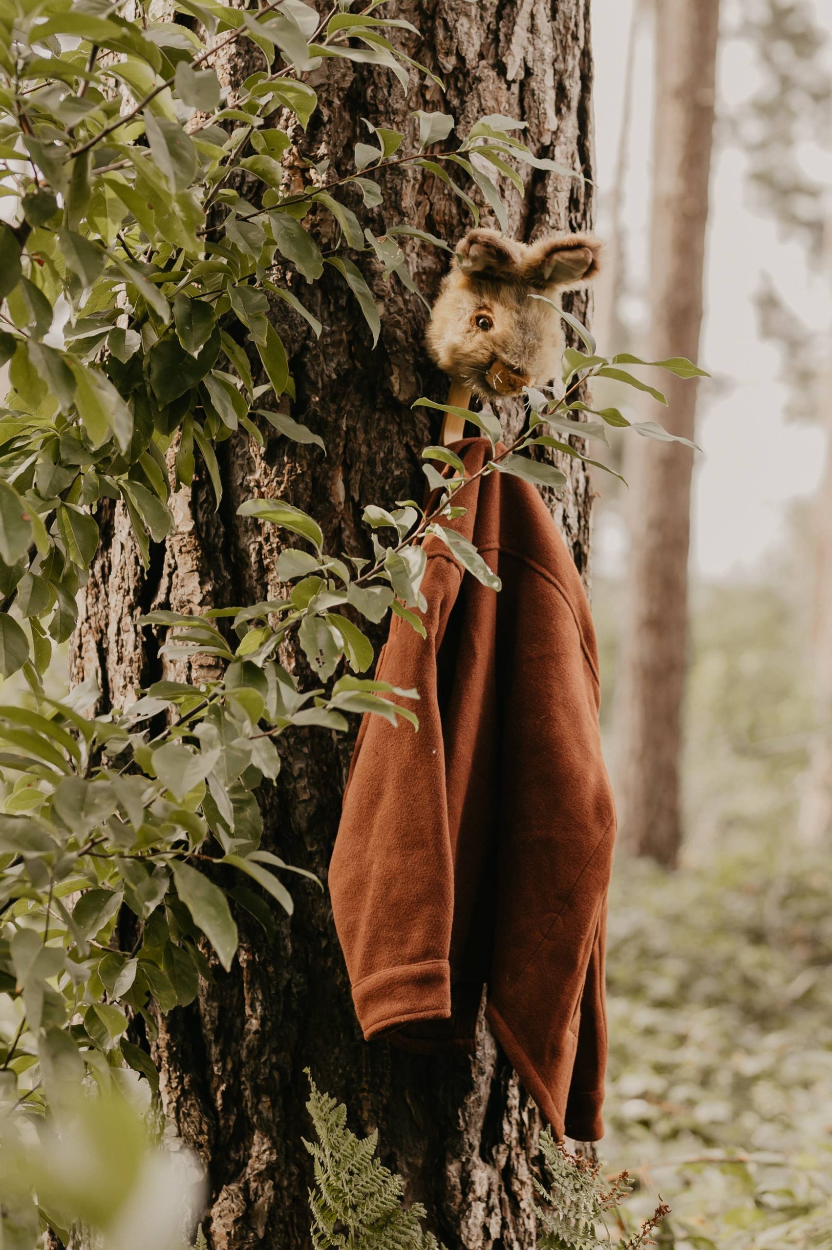 Coat Hanger - Brown Bunny - Image 3