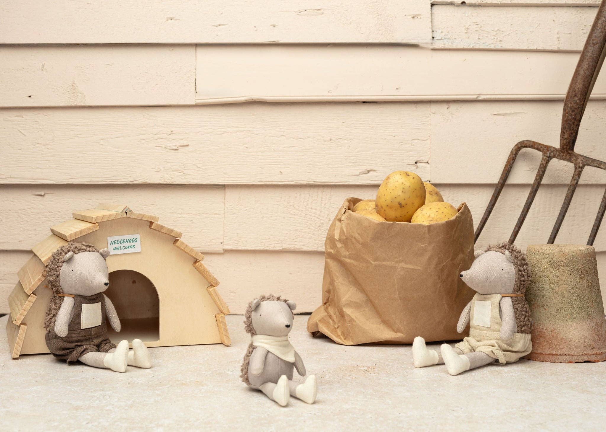 Poppet The Baby Hedgehog - Image 5