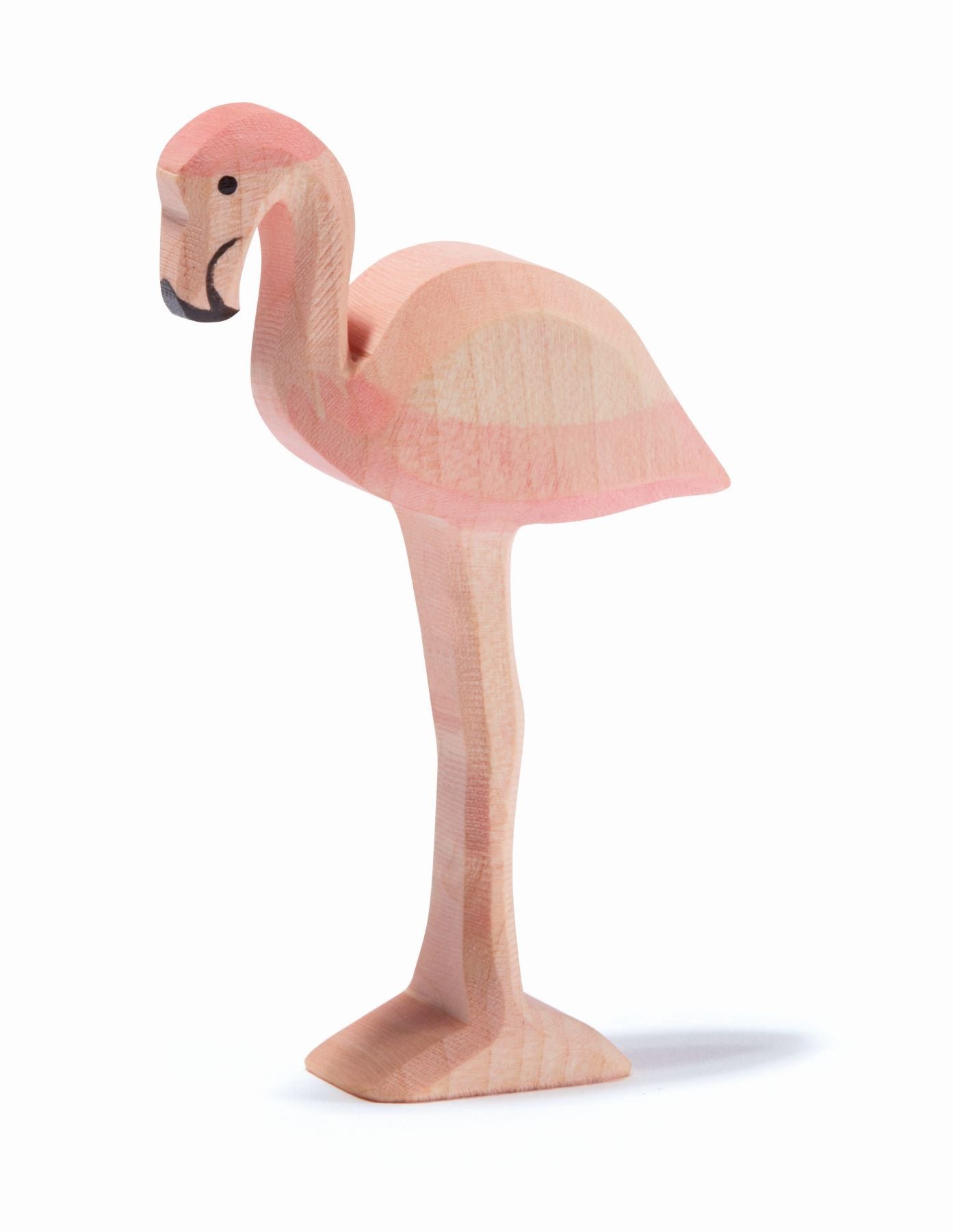 Ostheimer Flamingo - Image 2