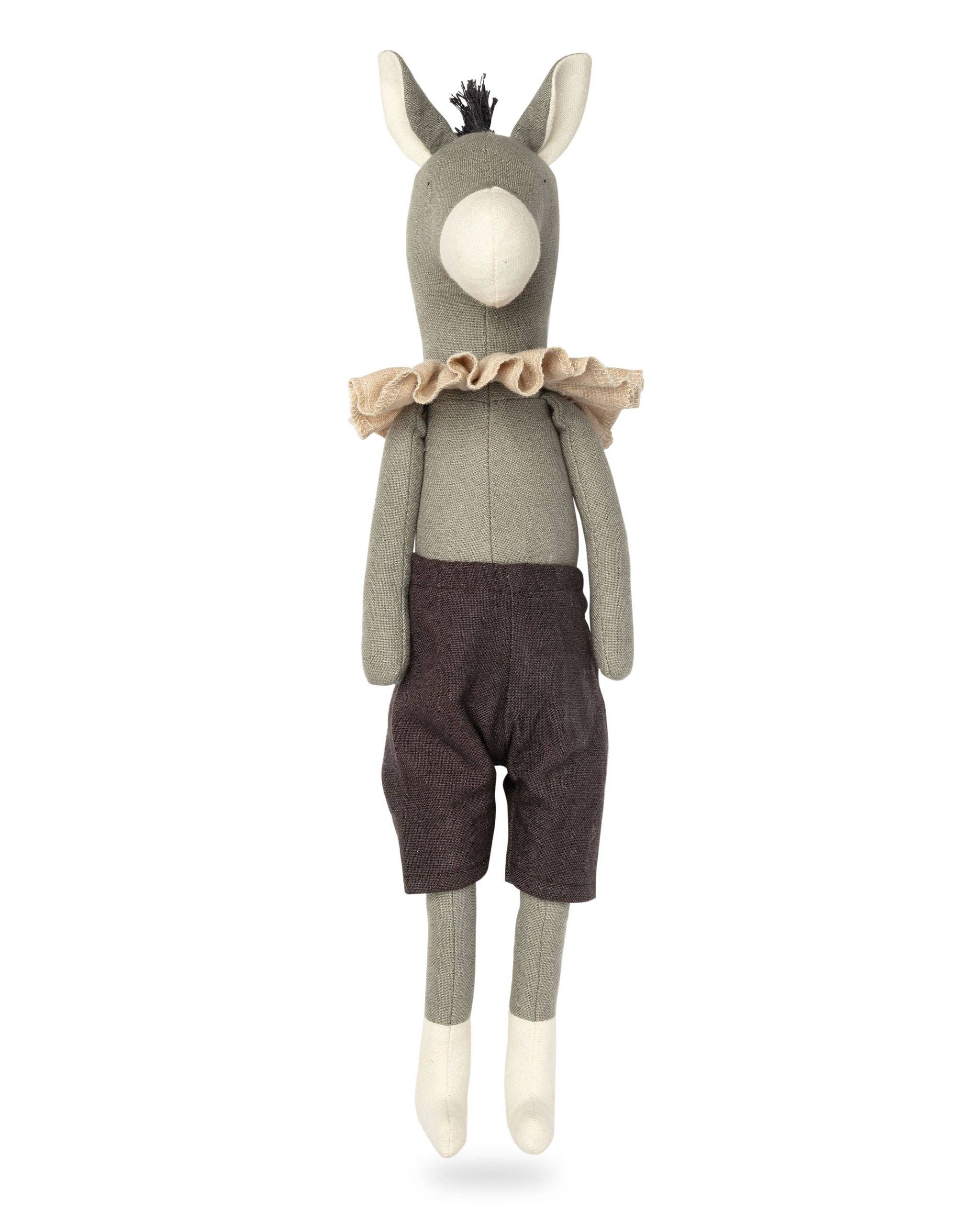 Darwin the Donkey - Image 3