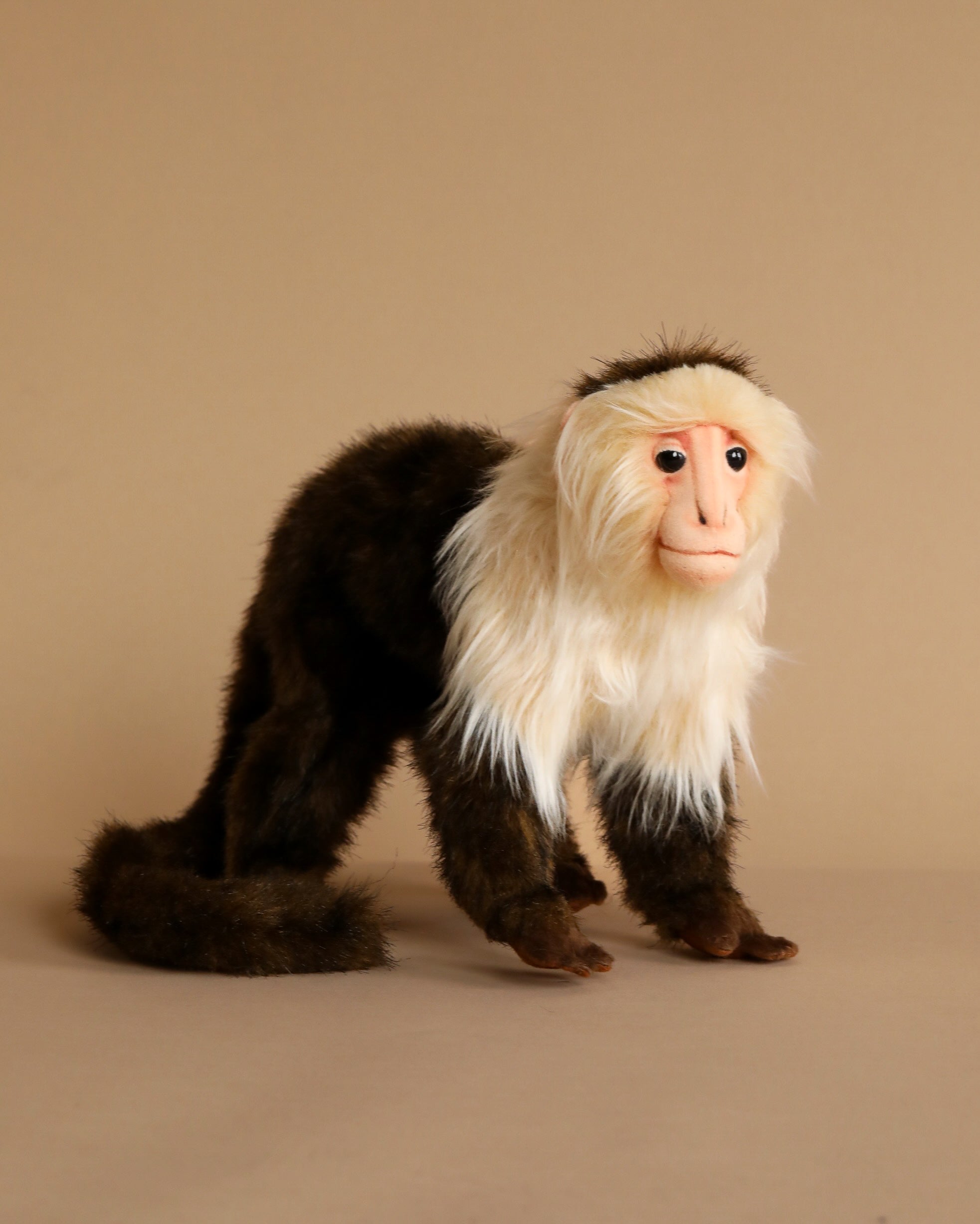 Capuchin Monkey Stuffed Animal - Image 3