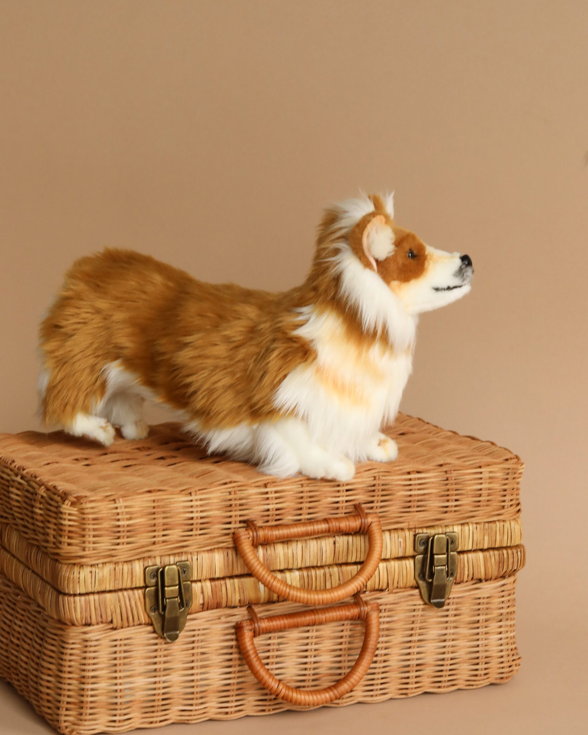 Welsh Corgi Dog Stuffed Animal