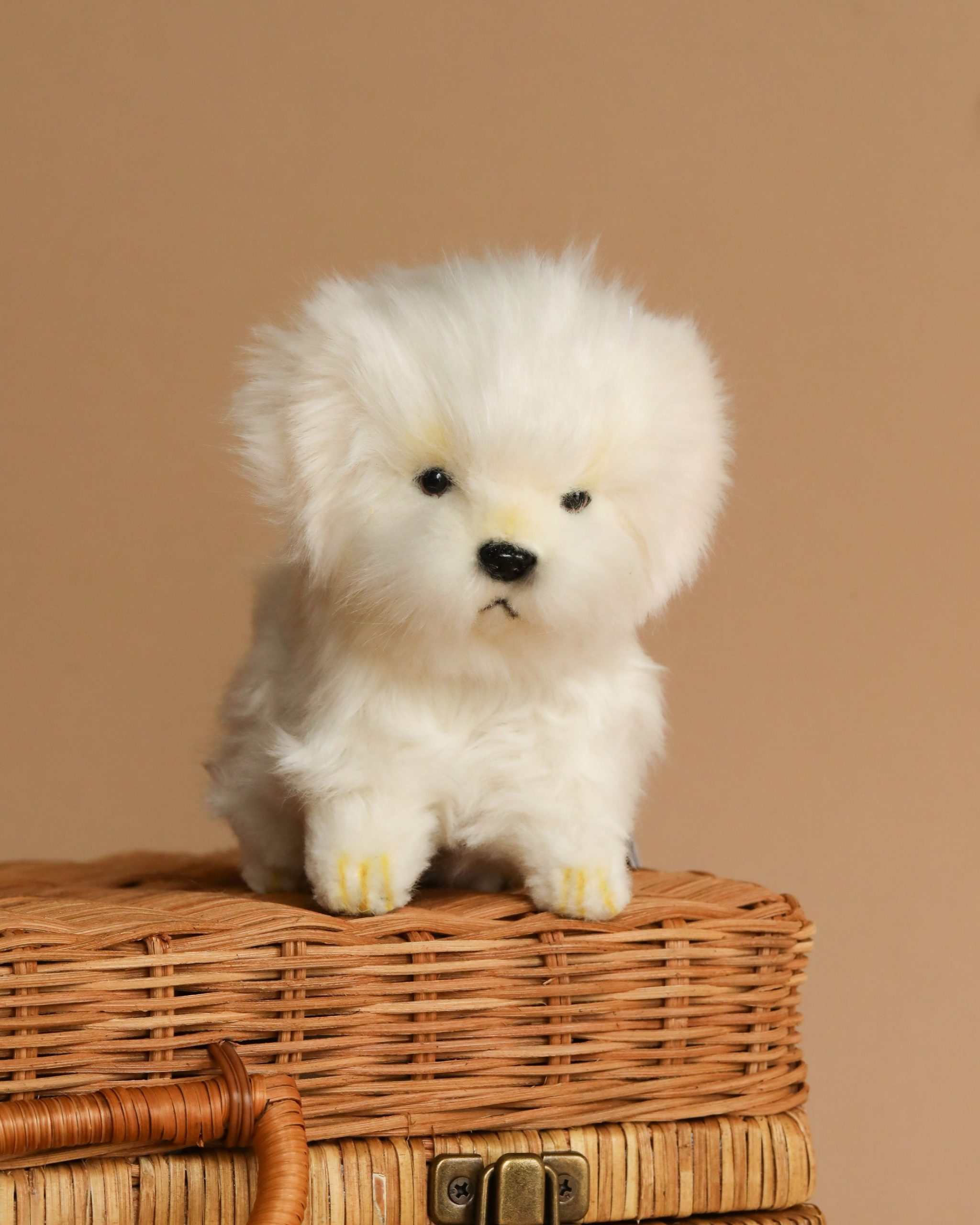 Maltese Tea Cup Dog Stuffed Animal