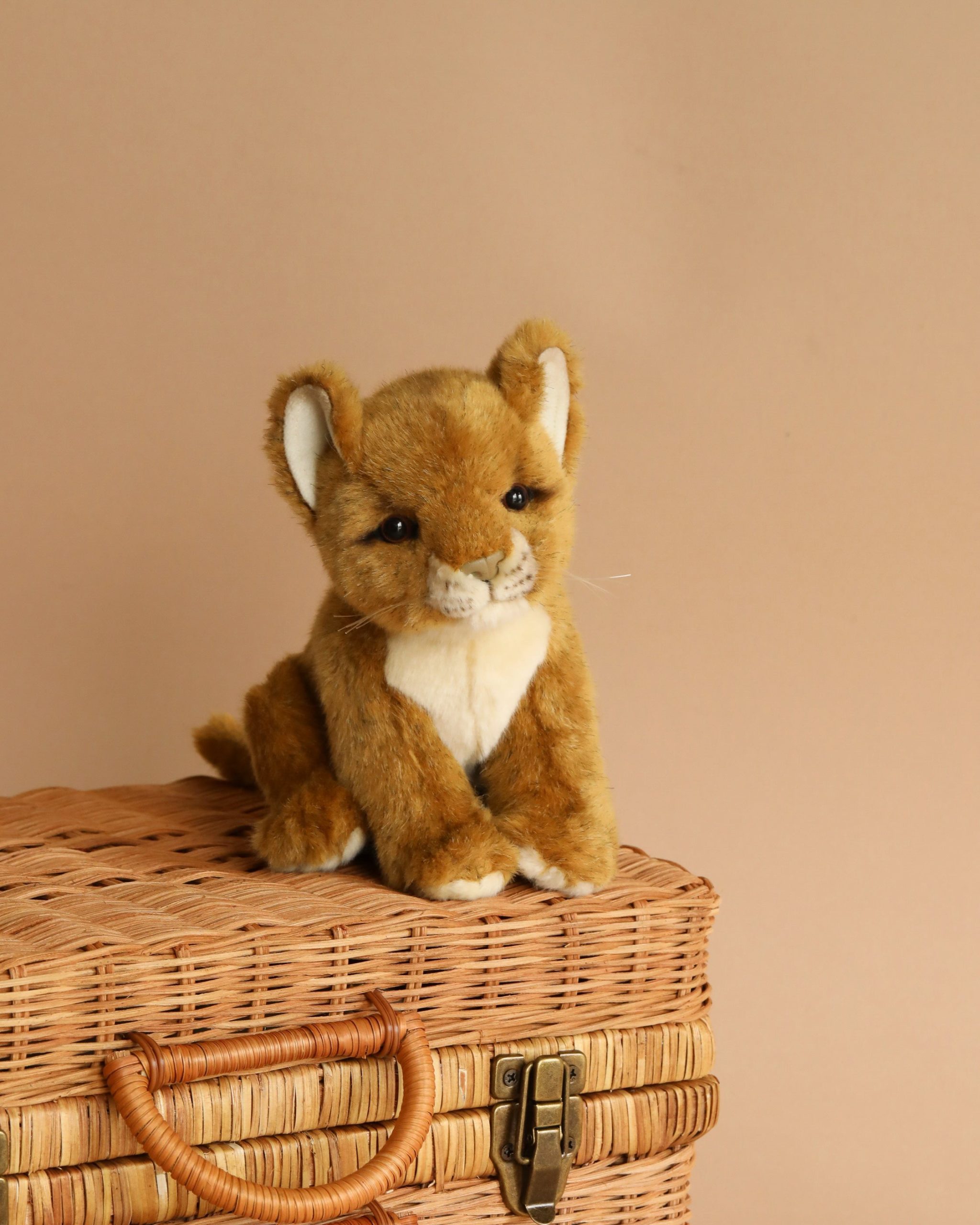 Lion Cub Stuffed Animal