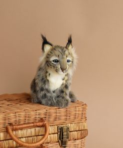 Lynx Cub Animal