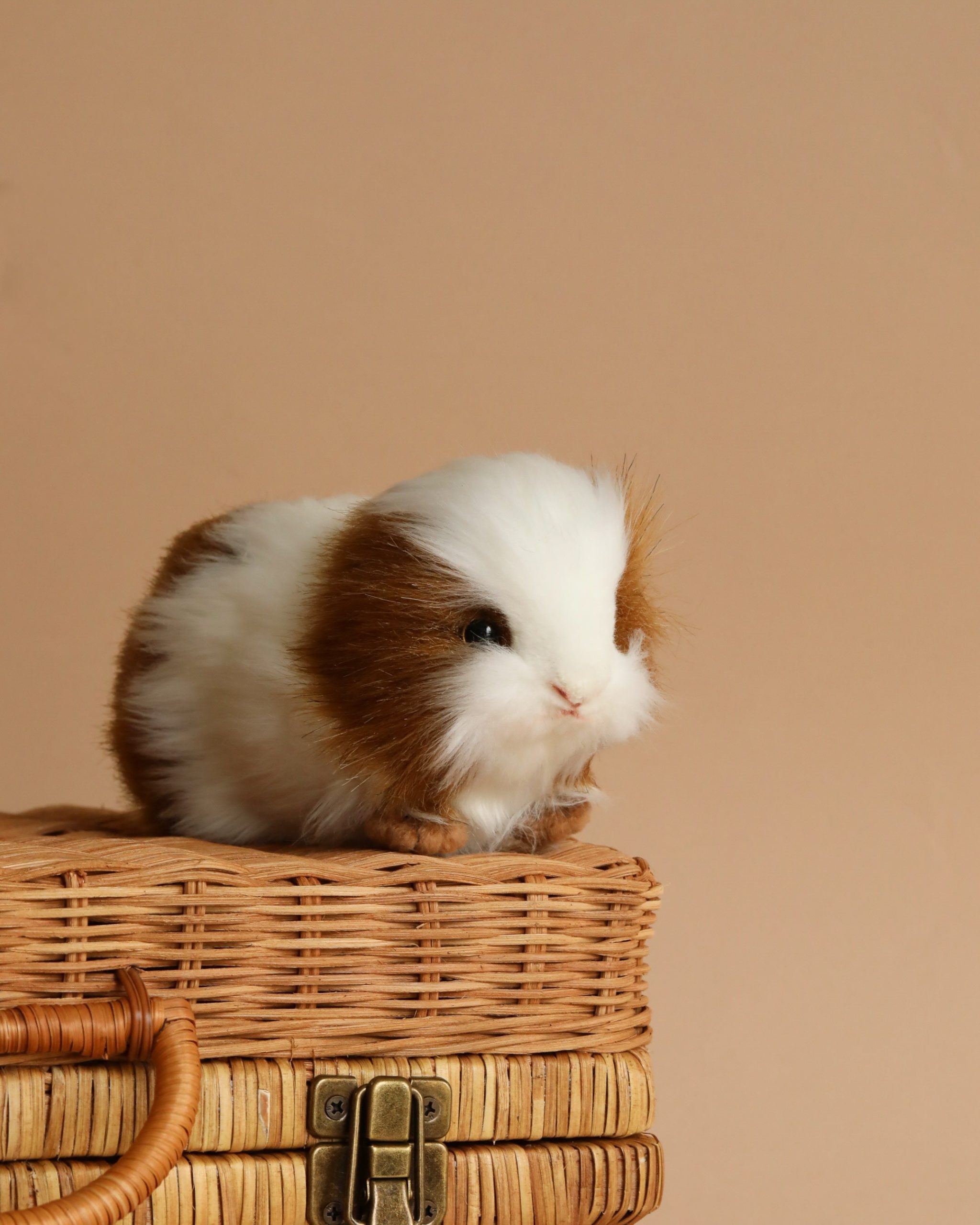 Guinea Pig Stuffed Animal