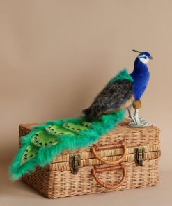 Peacock Stuffed Animal