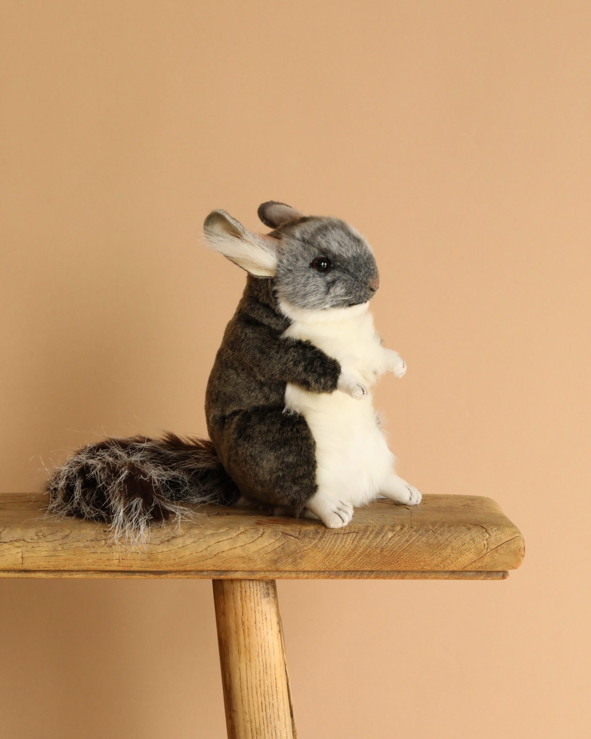 Chinchilla Stuffed Animal