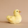 Duck Chick Stuffed Animal