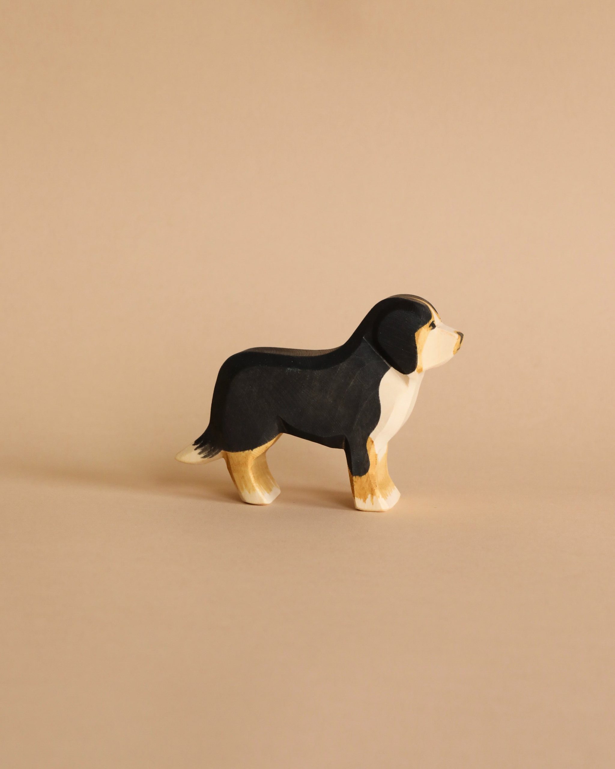 Ostheimer Bernese Mountain Dog