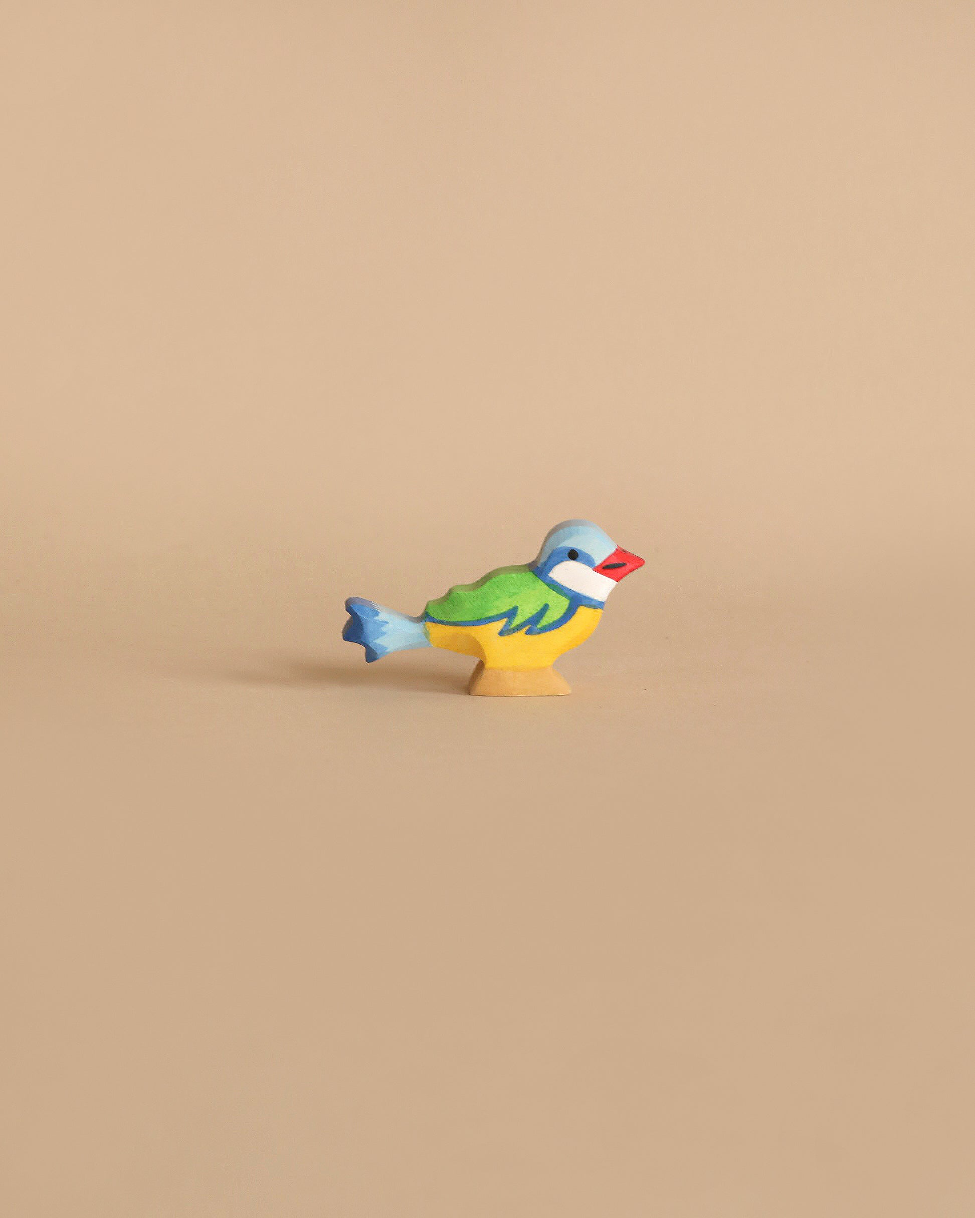 Holztiger Eurasian Blue Bird