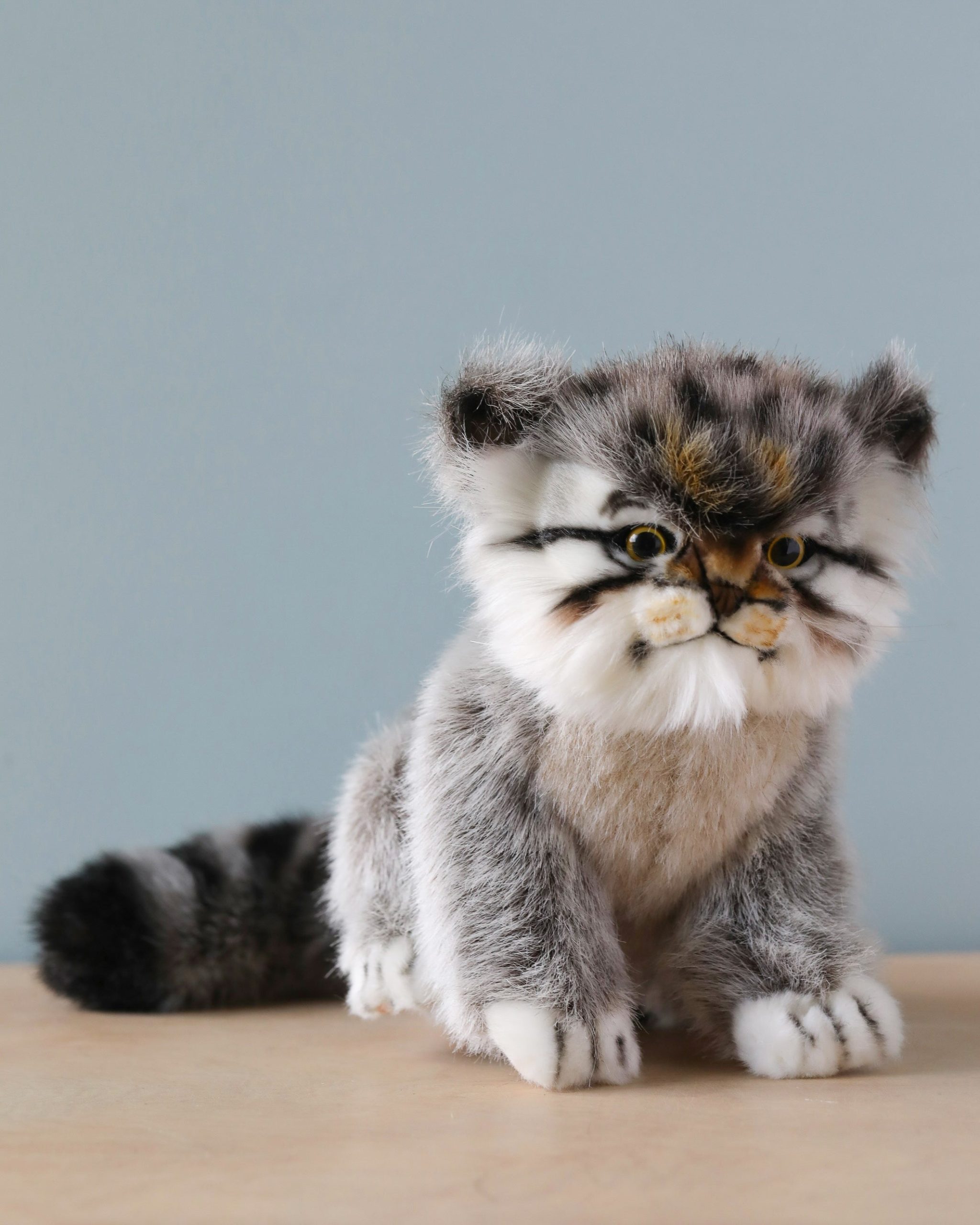 Pallas Kitten Stuffed Animal