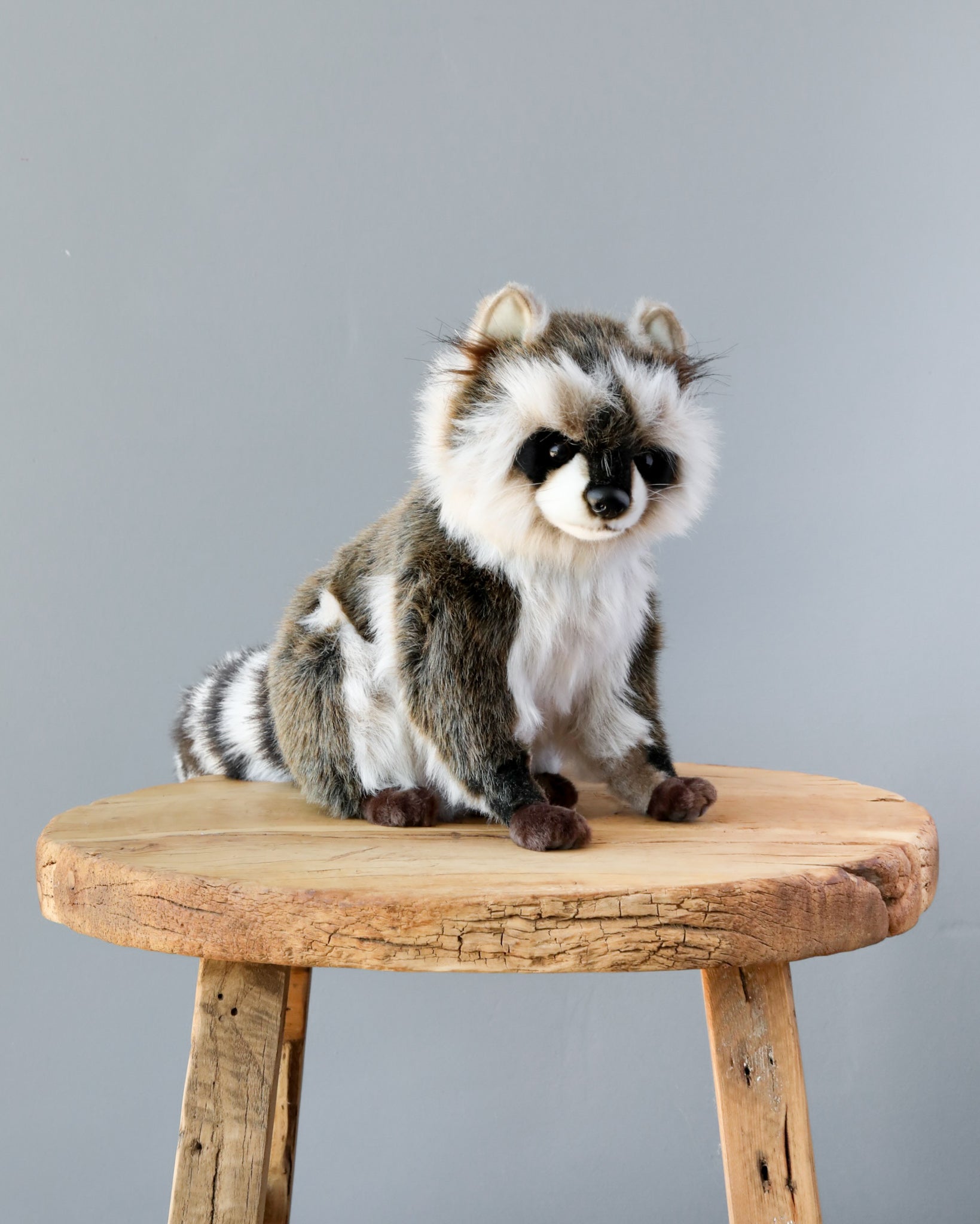 Raccoon Stuffed Animal - Image 2