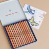 Stockmar Triangular Colored Pencil Set - 12 Colors + Graphite Pencil