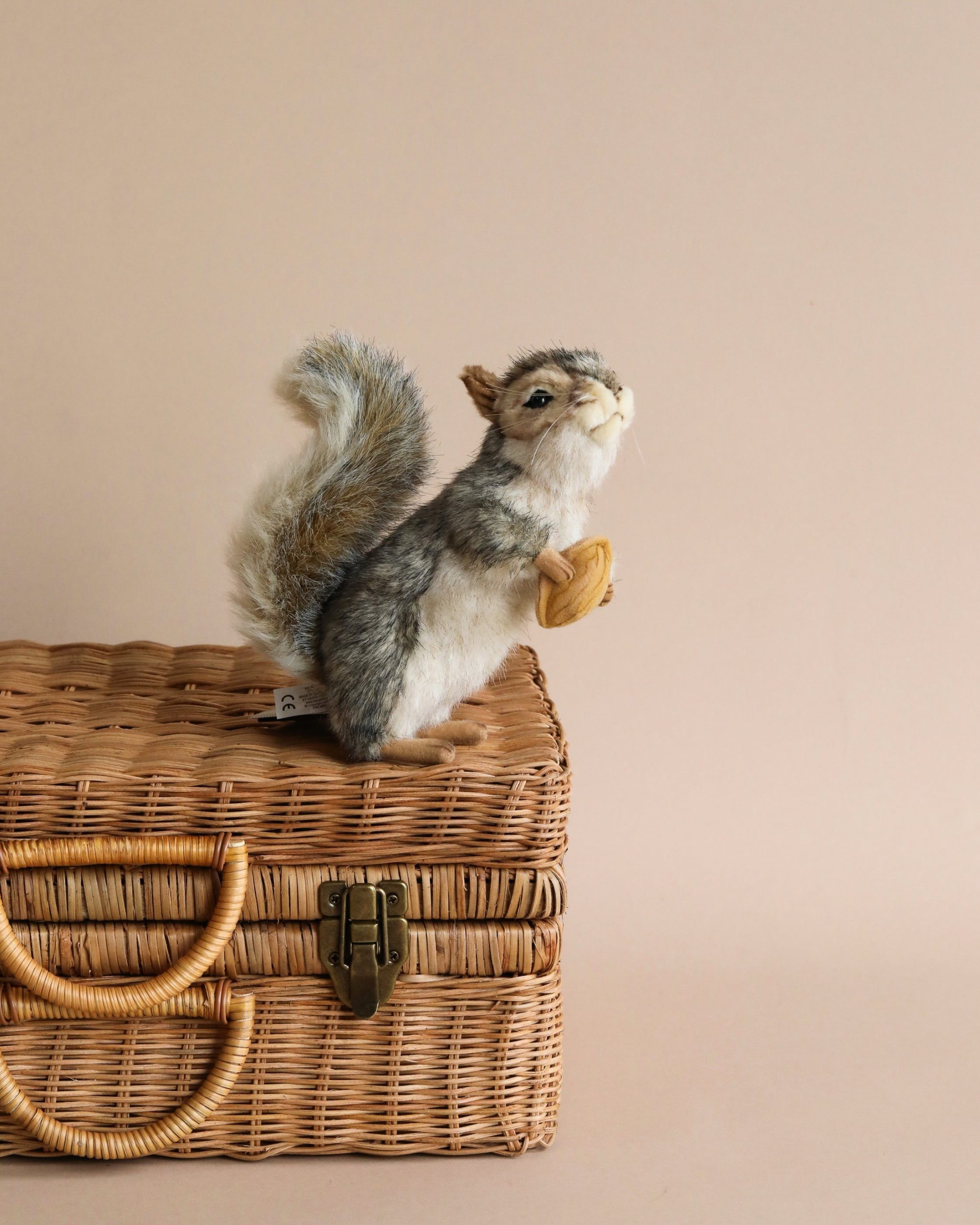 Squirrel With A Nut Stuffed Animal