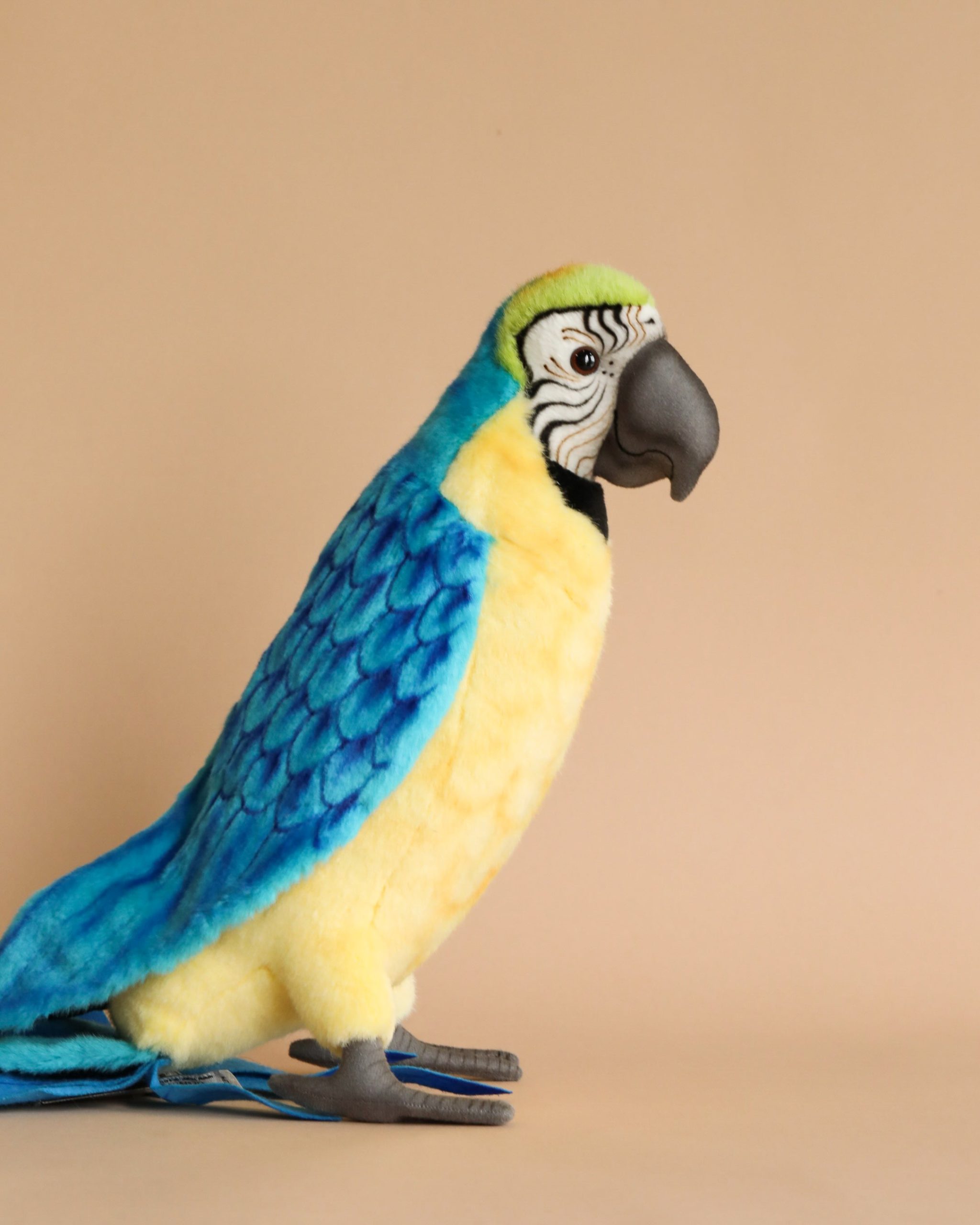 Macaw Bird Stuffed Animal - Image 2