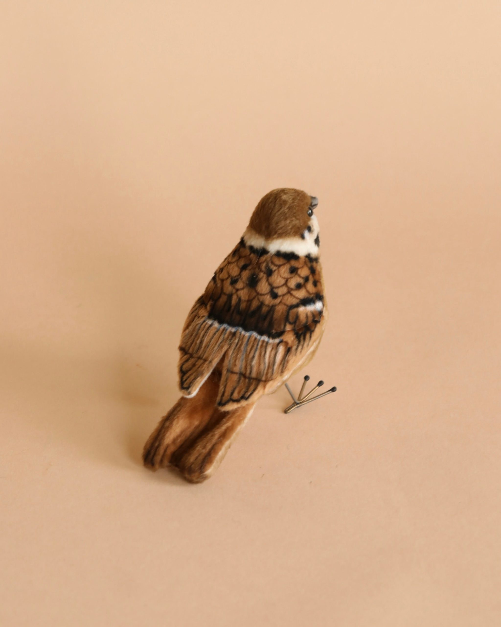 Sparrow Bird Stuffed Animal - Image 2