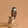 Hand Carved Saw Whet Owl - 10"H