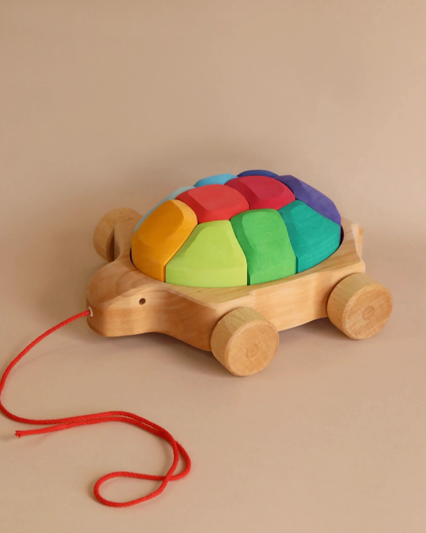 Grimm's Rainbow Turtle Pull-Toy and Building Blocks