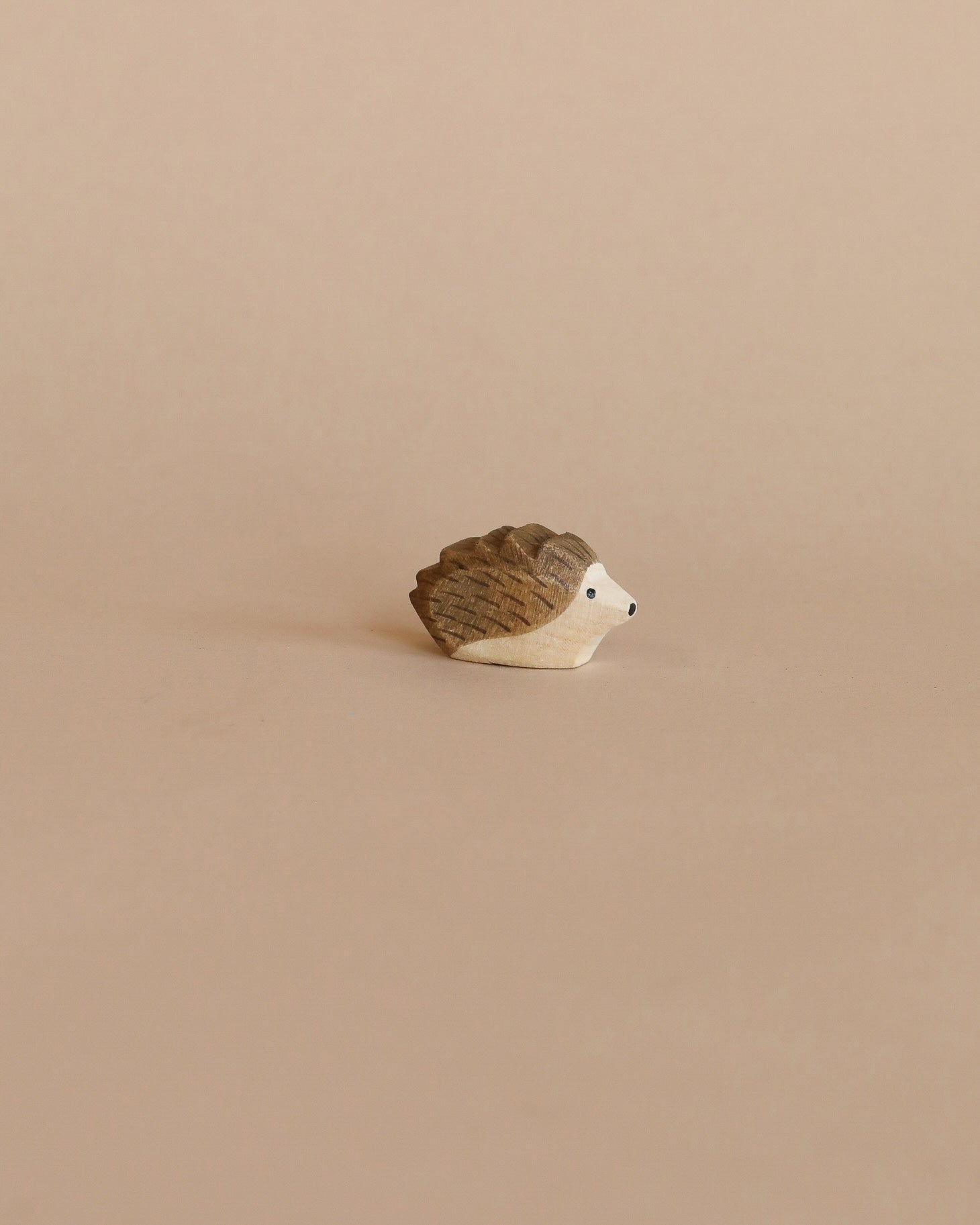 Ostheimer Hedgehog - Small
