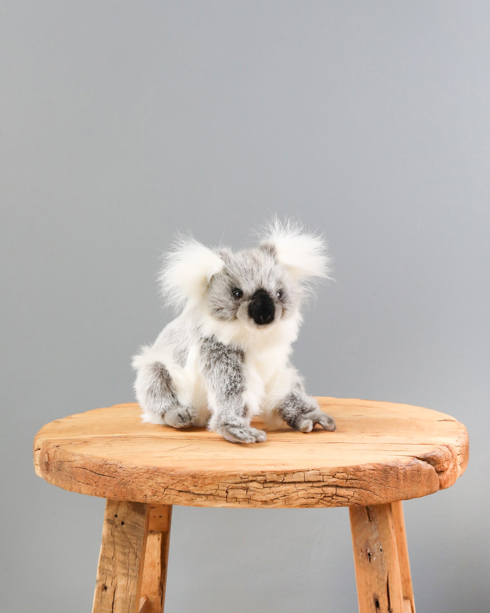 Baby Koala Stuffed Animal - Image 3