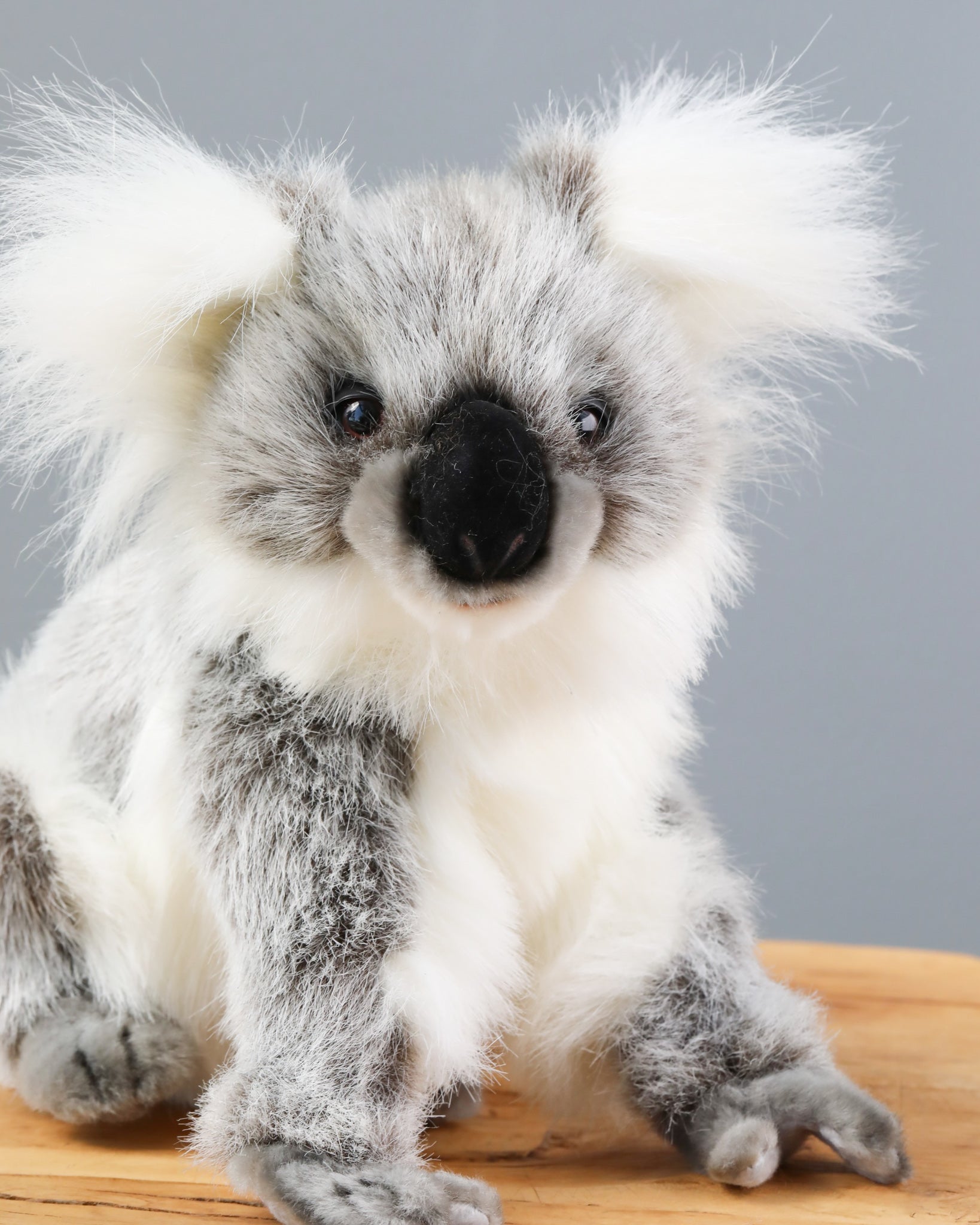 Baby Koala Stuffed Animal - Image 2