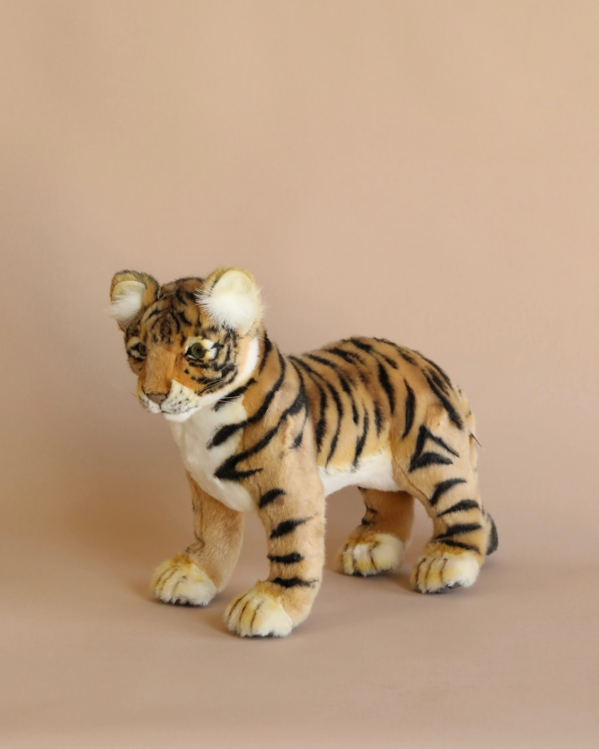 Tiger Cub - Standing - Image 2