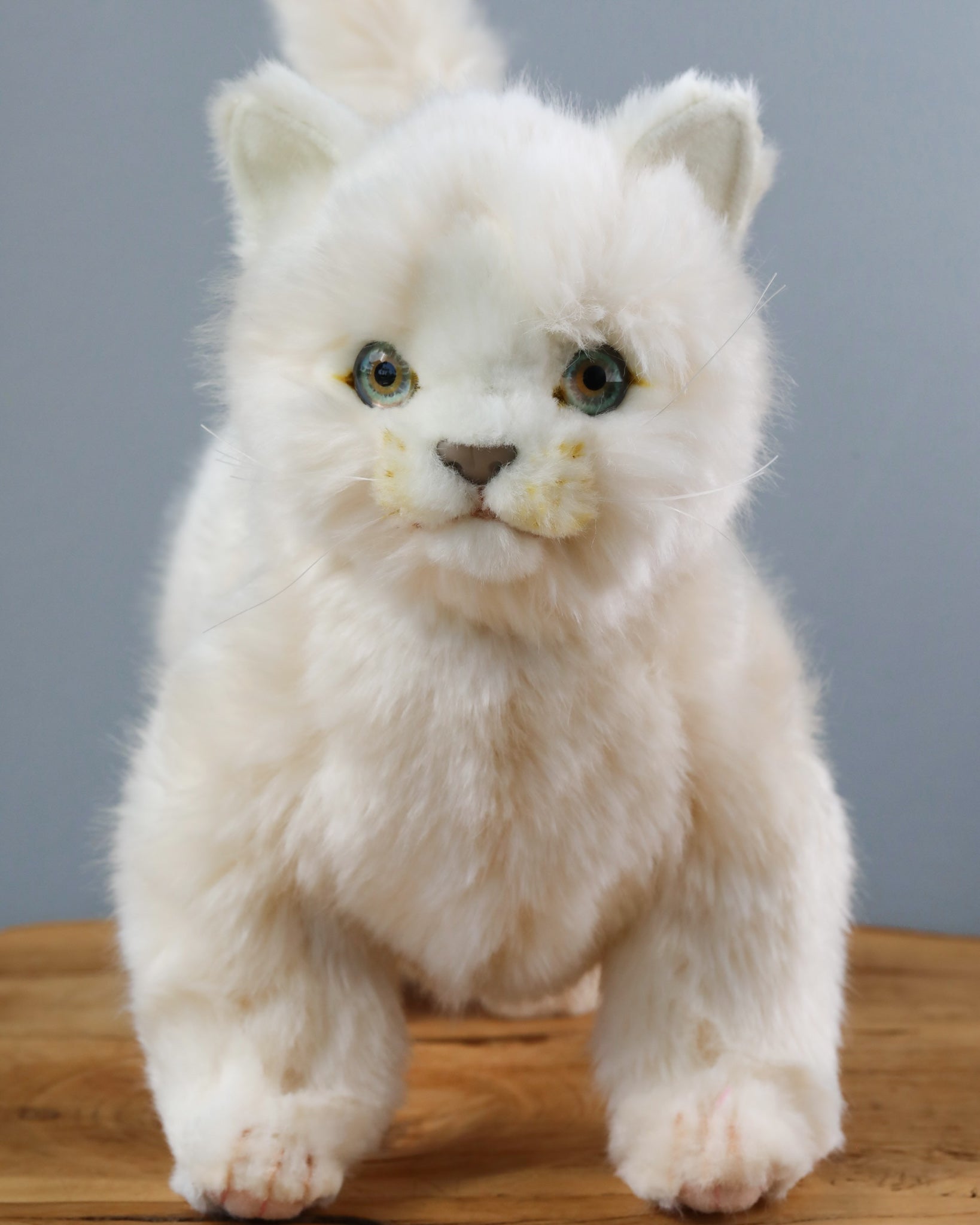 White Cat Stuffed Animal - Image 4