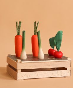 Erzi Vegetable Patch Garden Set