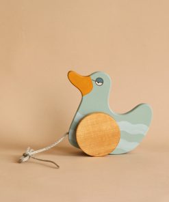 Duck Pull Toy - Mint Green