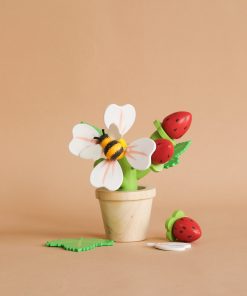 Strawberry Flower Pot