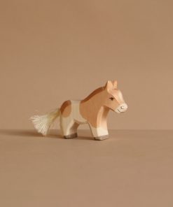 Ostheimer Shetland Pony Colt