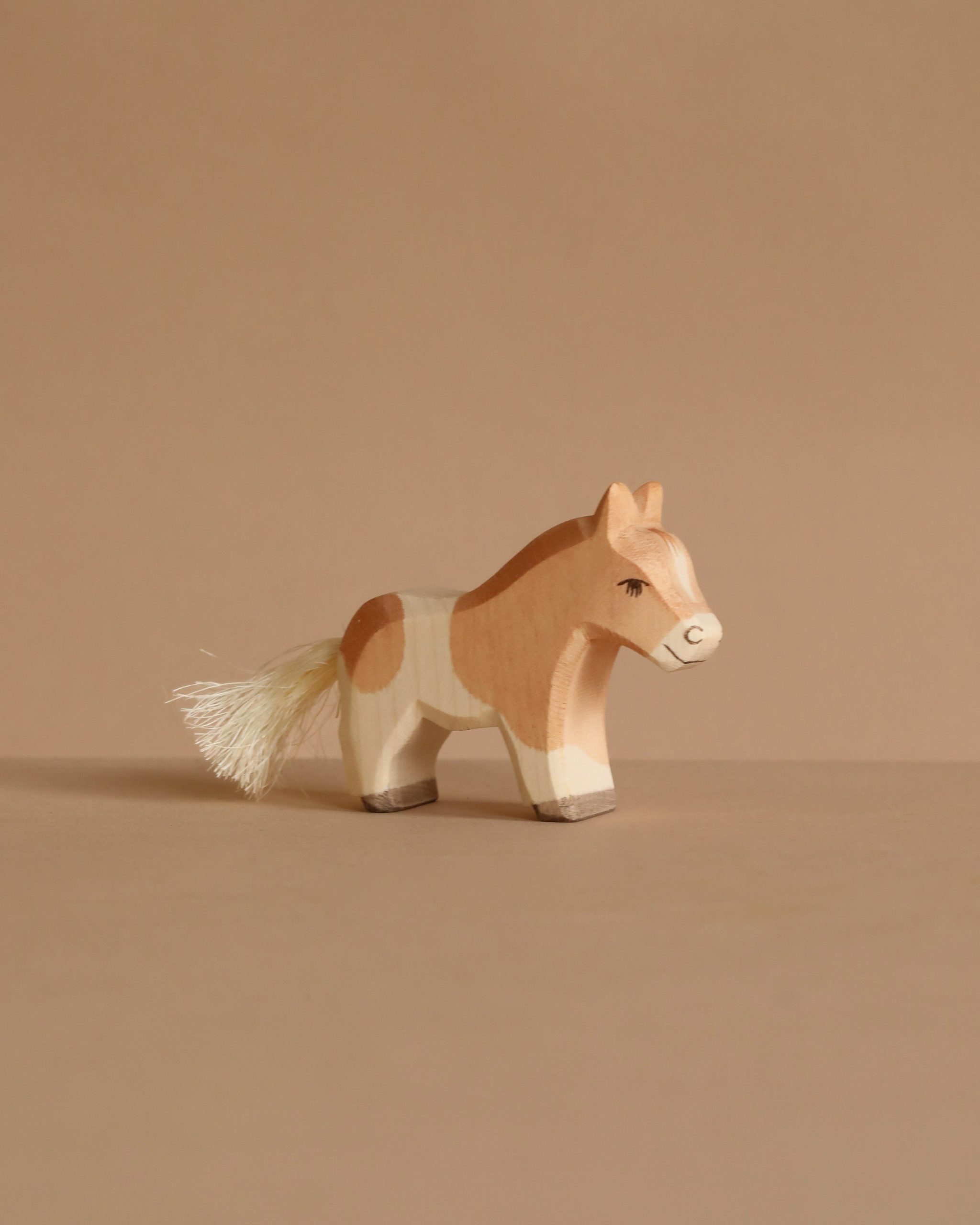 Ostheimer Shetland Pony Colt