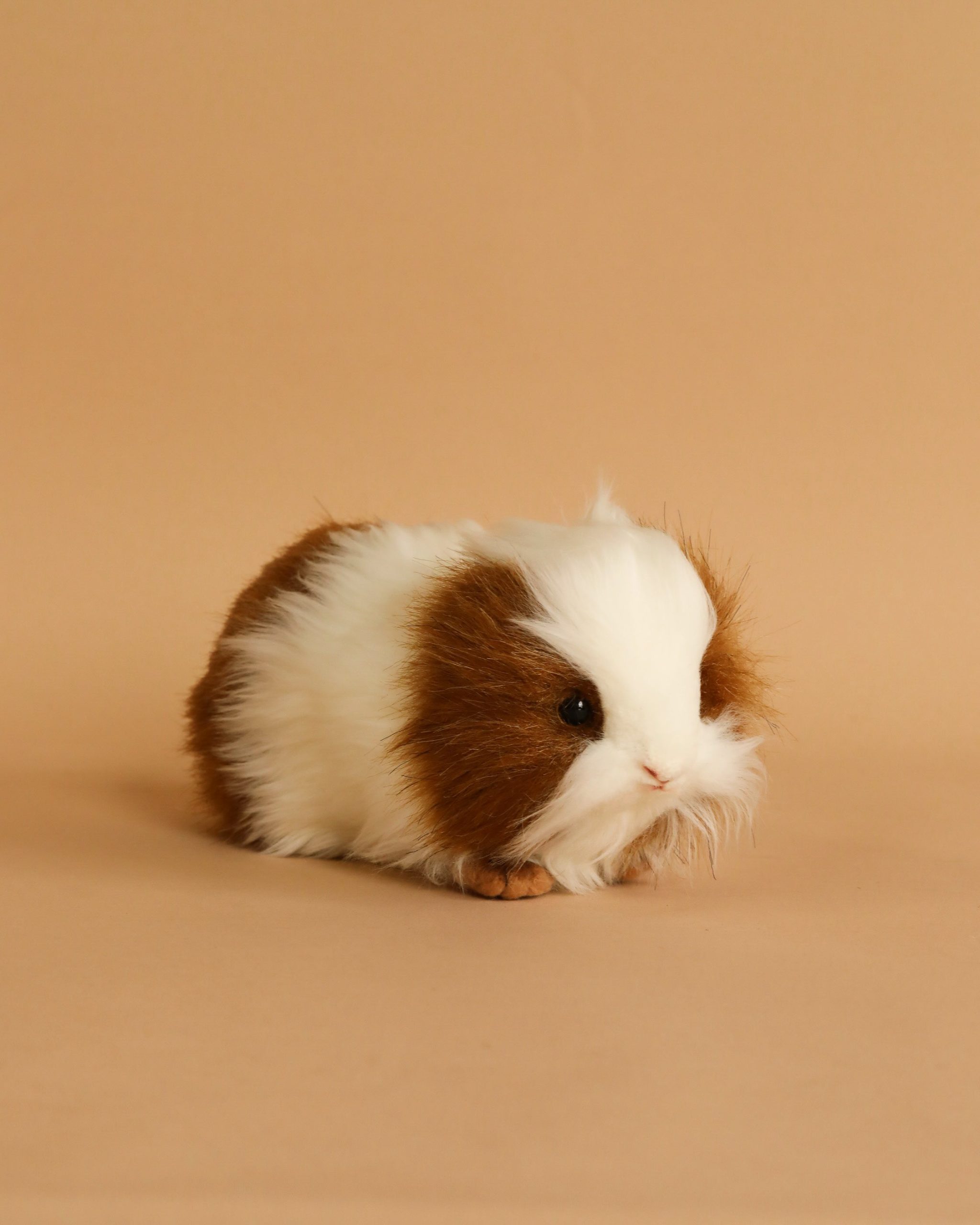 Guinea Pig Stuffed Animal - Image 2