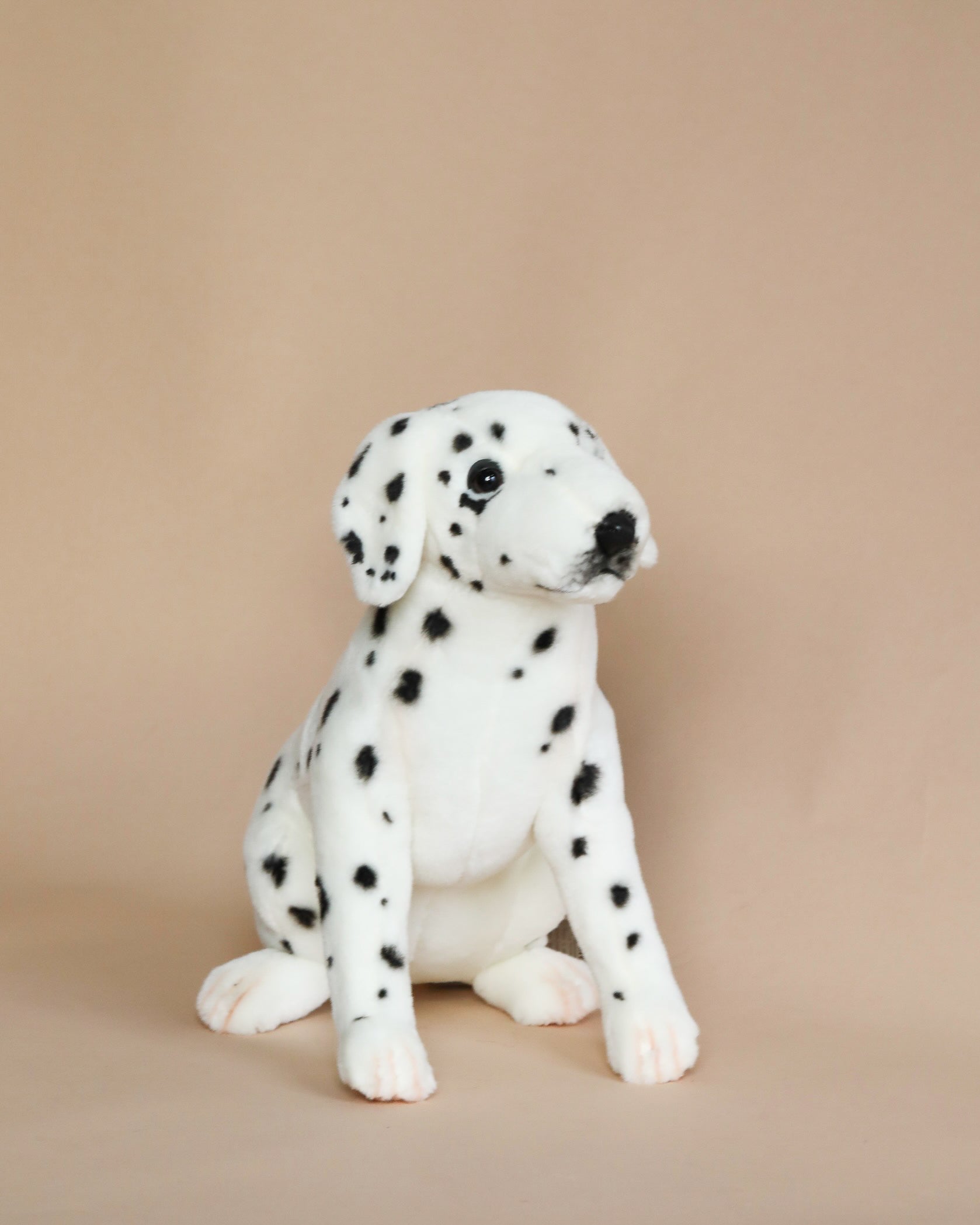 Sitting Dalmatian Dog Stuffed Animal - Image 4
