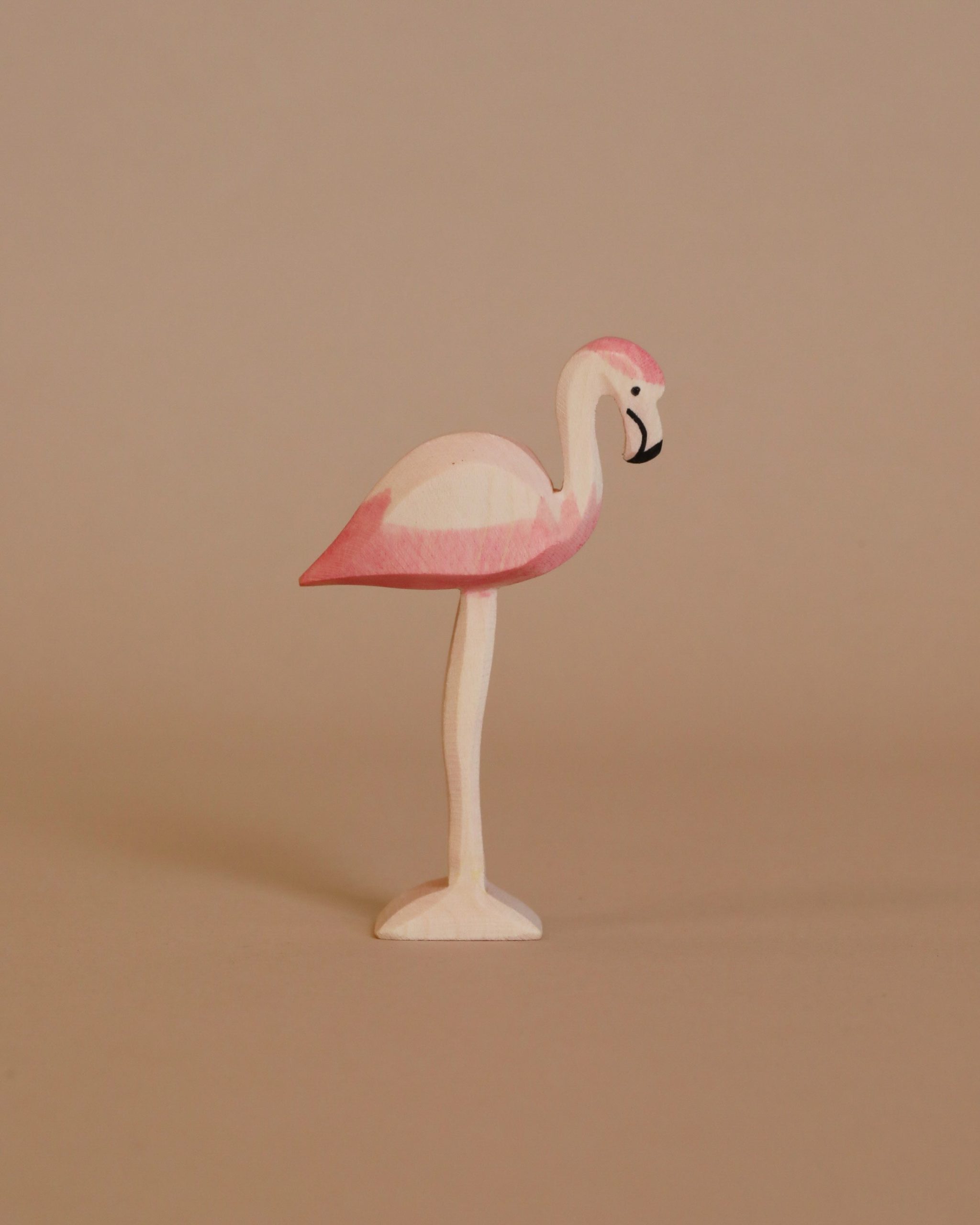 Ostheimer Flamingo