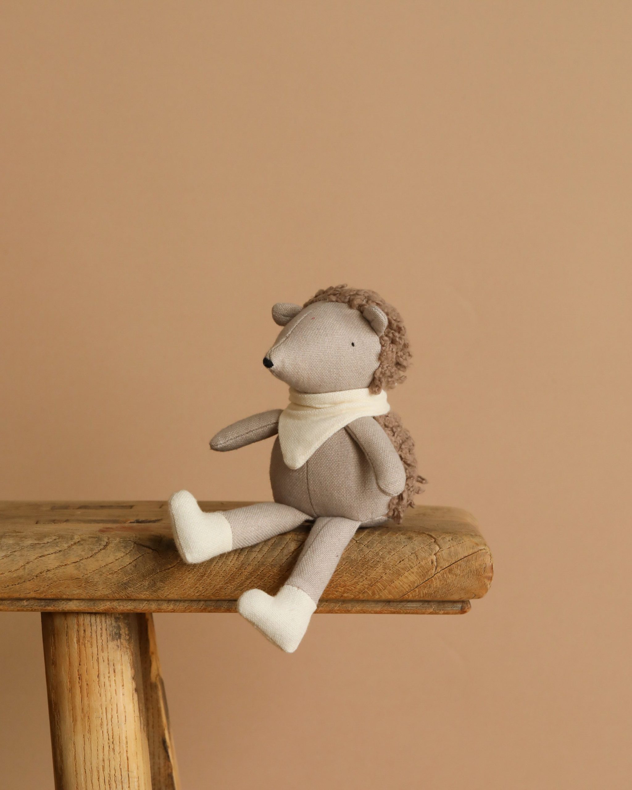 Poppet The Baby Hedgehog