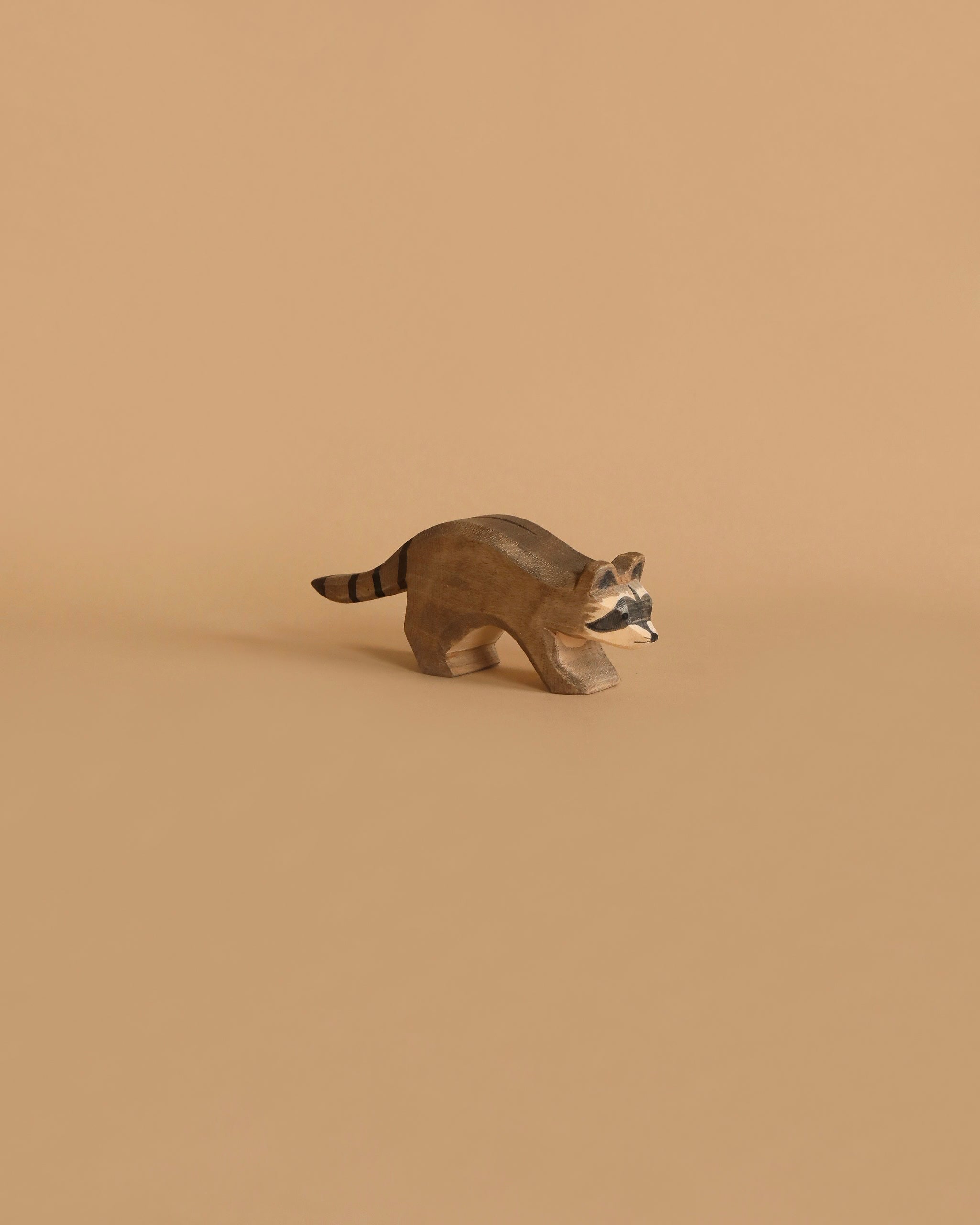Ostheimer Raccoon Running