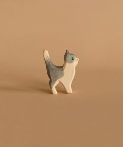 Ostheimer Gray and White Cat, Head Up