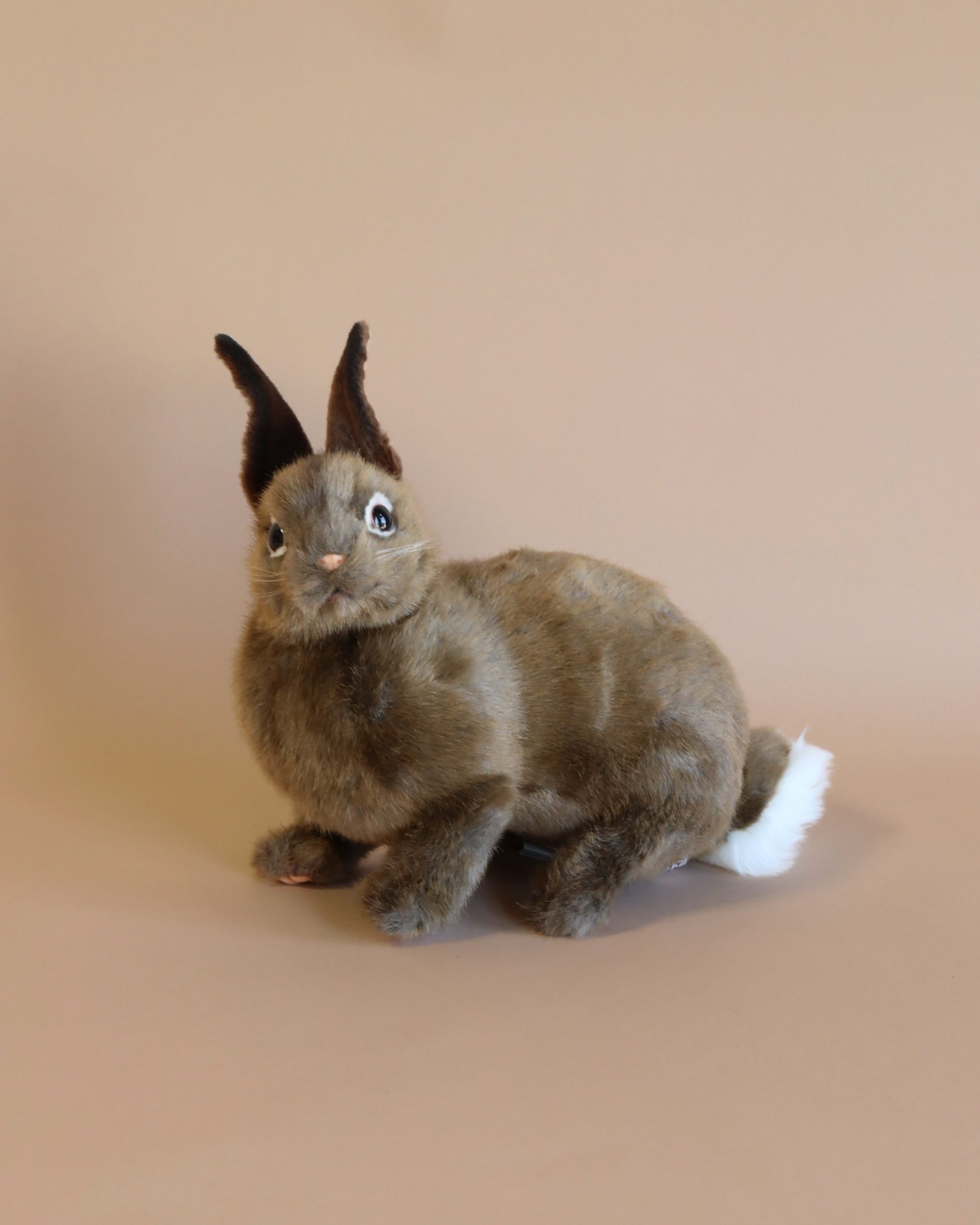 Brown Bunny Stuffed Animal