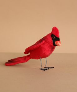 Cardinal Red Bird