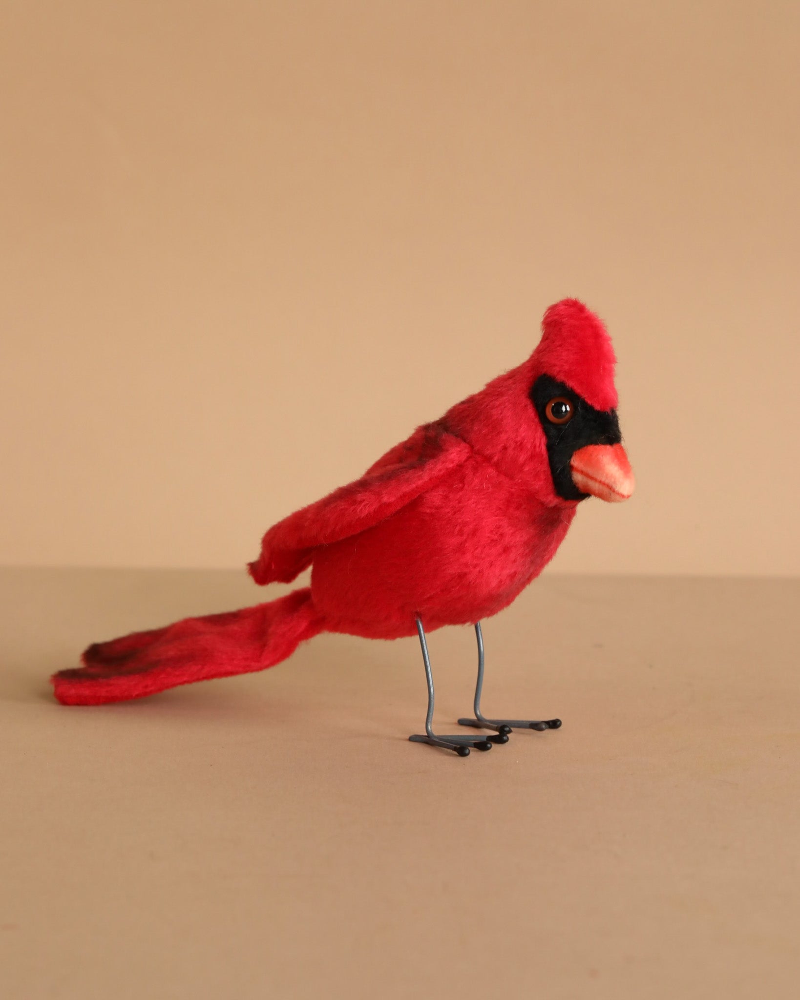 Cardinal Red Bird
