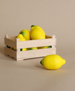 Erzi Lemon Pretend Food