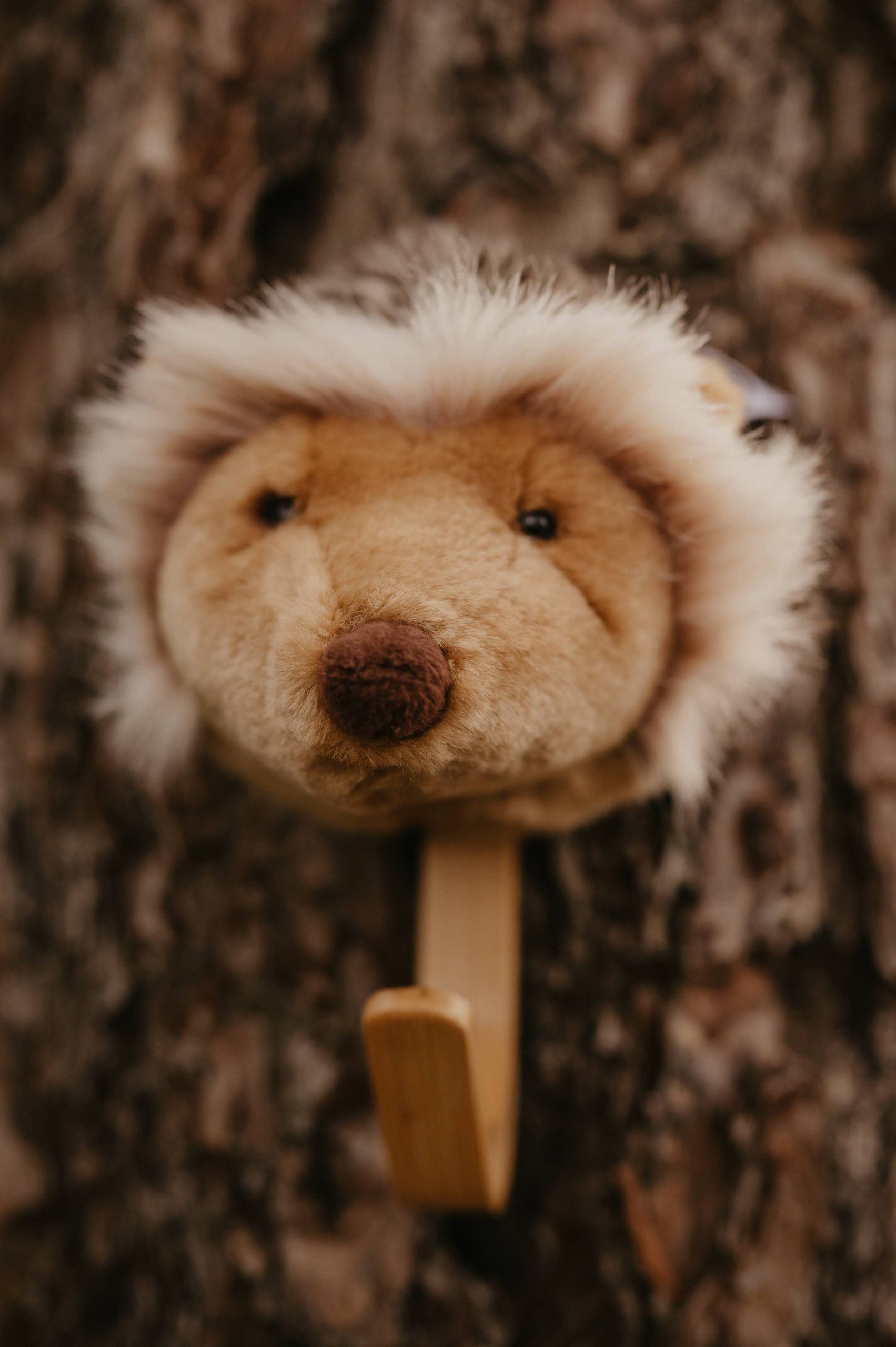 Coat Hanger - Hedgehog - Image 5