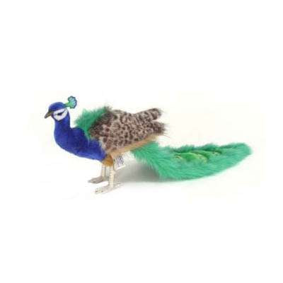 Peacock Stuffed Animal - Image 4