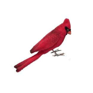 Cardinal Red Bird - Image 2
