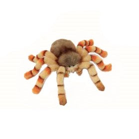 Jumping Spider Stuffed Animal - Image 2
