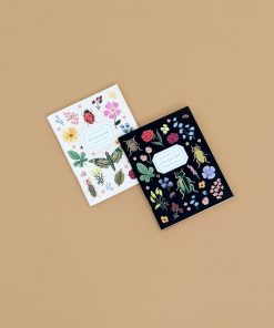 Pair of 2 Curio Pocket Notebooks