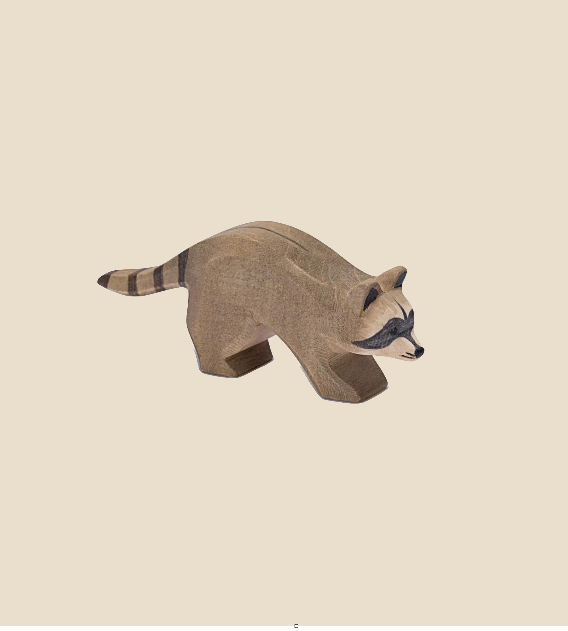 Ostheimer Raccoon Running - Image 2